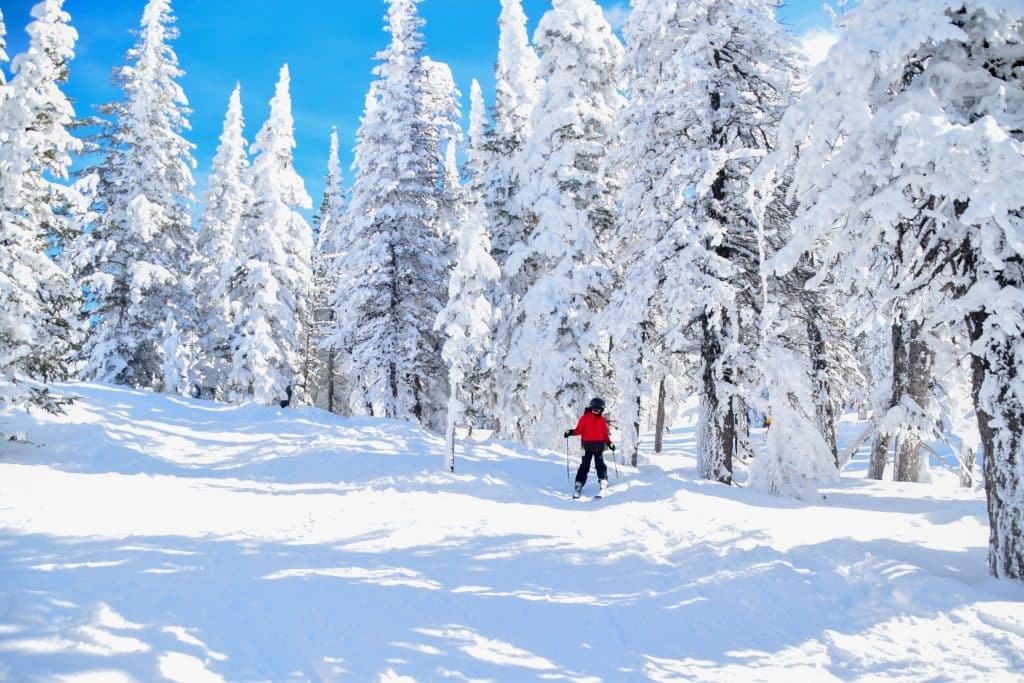 kids skiing grand targhee