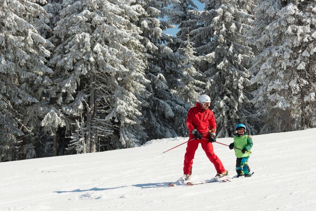 Ski school next to snowy trees