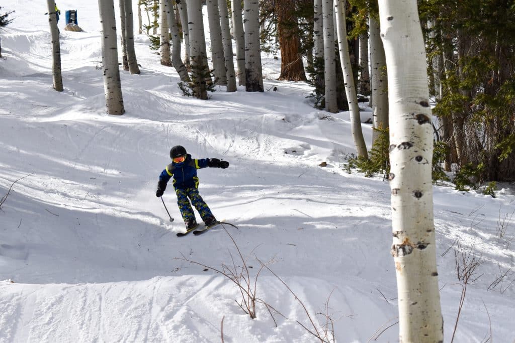 Kid spring skiing in trees