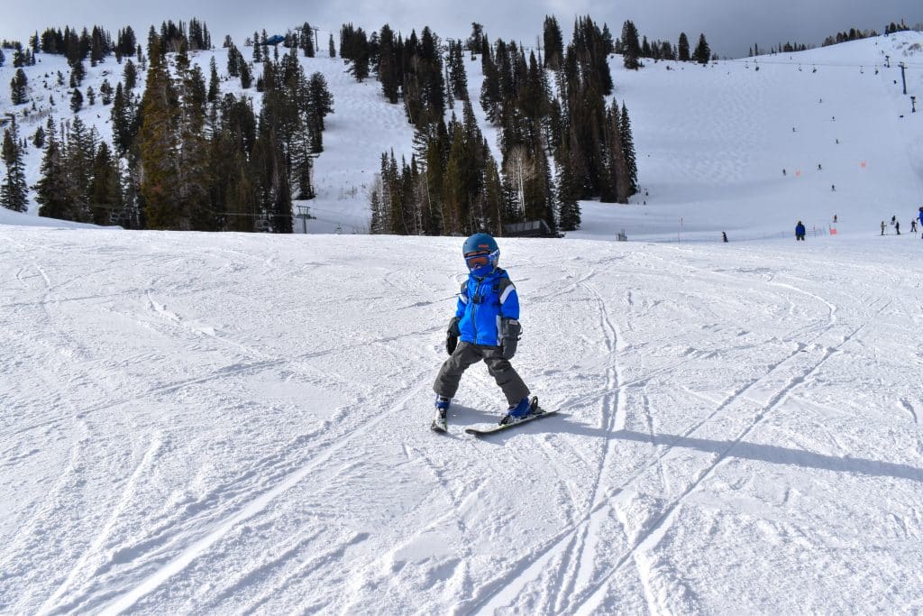 Little boy skiing