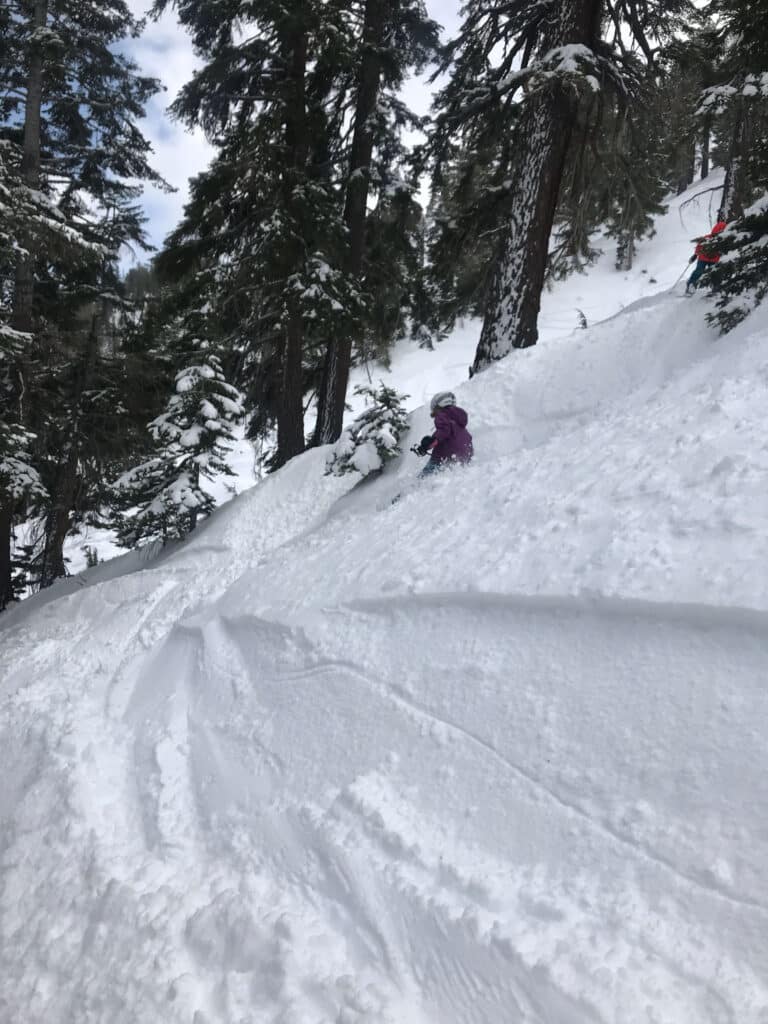 Tree skiing powder day kids