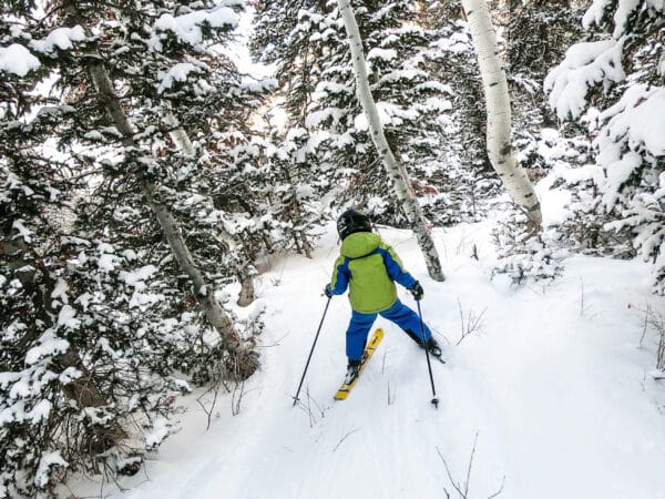 boy skiing through the trees