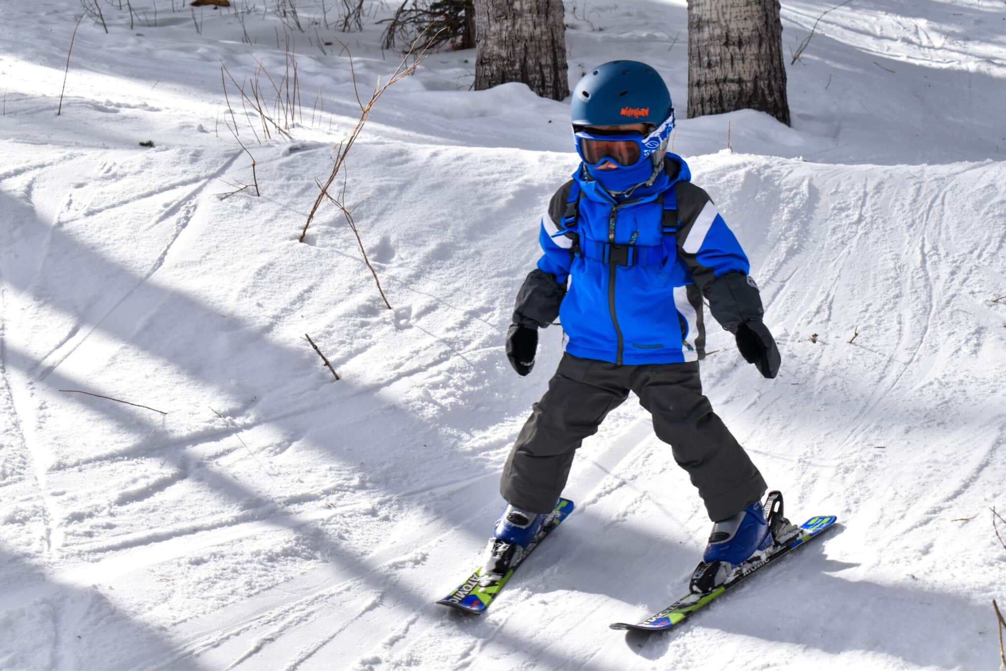 tree skiing kids