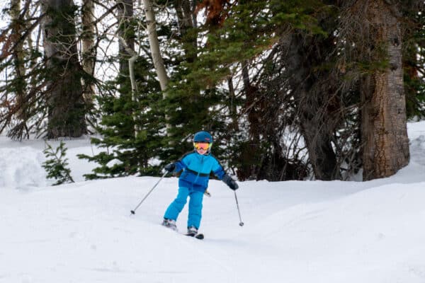 kids skiing trees for free