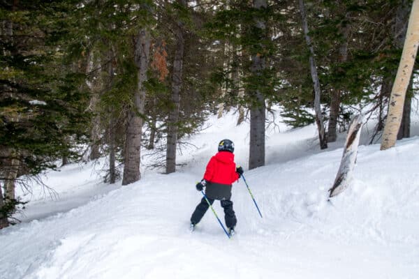 Boy Skiing Trees