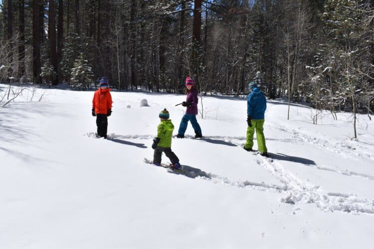 kids playing in the snow