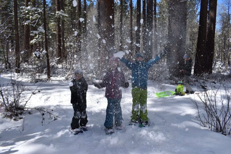 snowball toys for kids