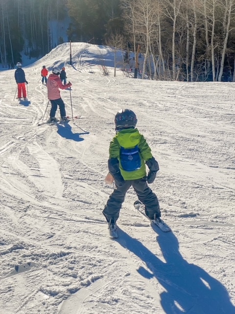 toddler ski harness with handle