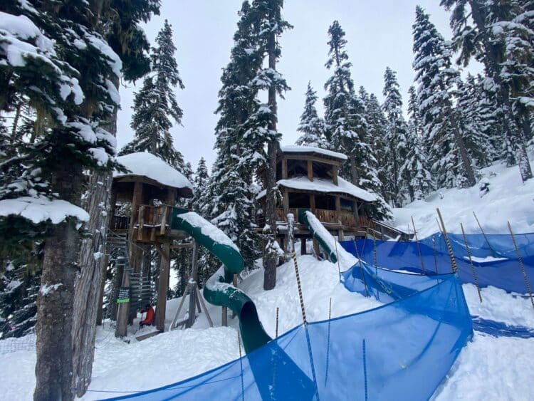 skiing whistler treehouse fort