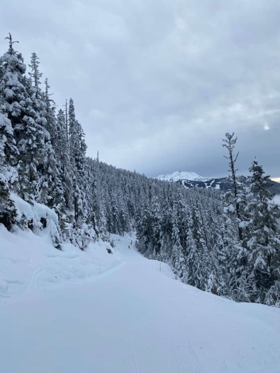 skiing whistler canada with family