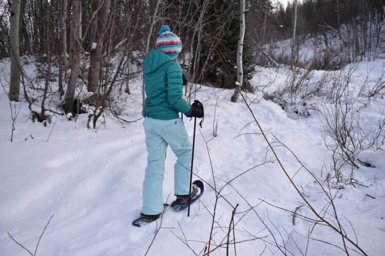 snowshoeing crested butte with kids