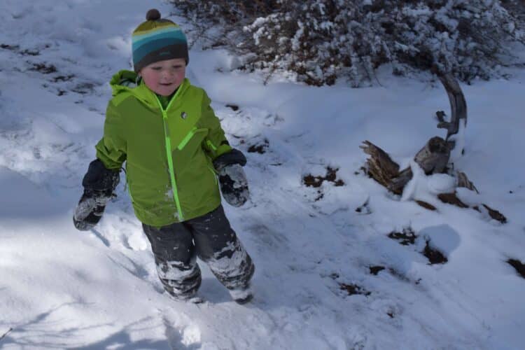 little boy playing in the snow with snow pants on