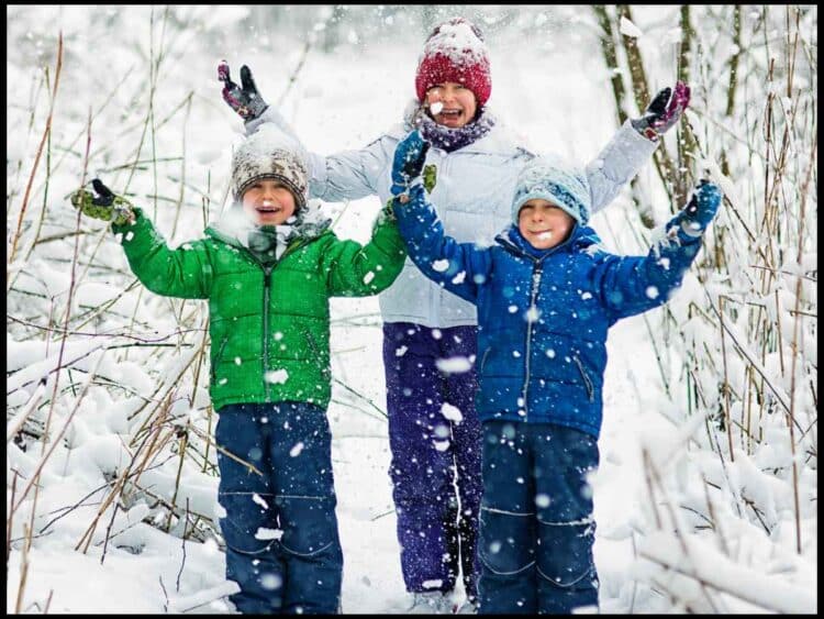 winter snow on wet gloves