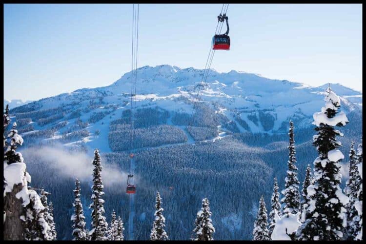 Fernie mountain views