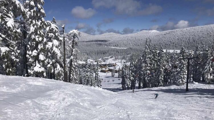 Skiing resort Mt. Bachelor