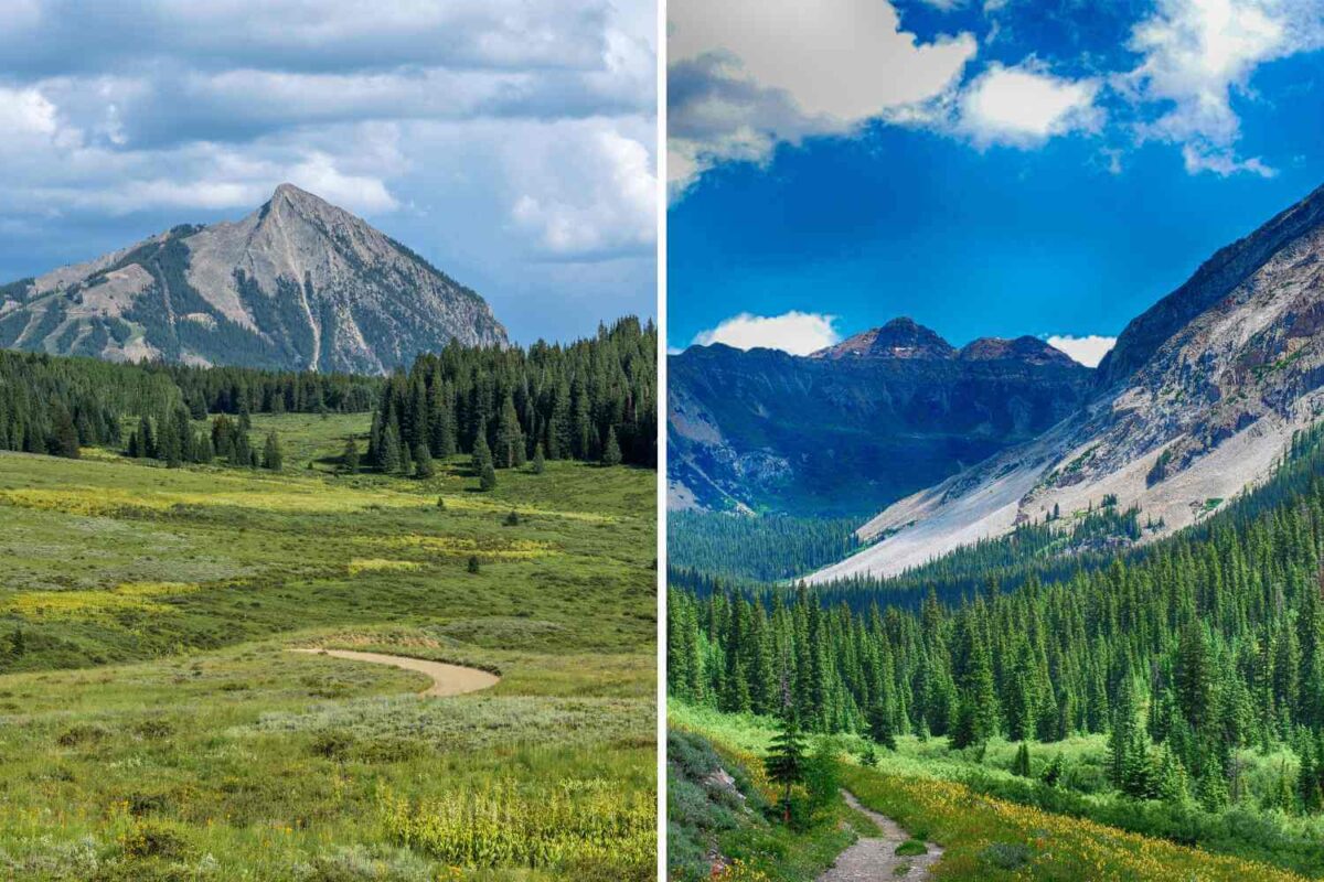 crested butte in summer