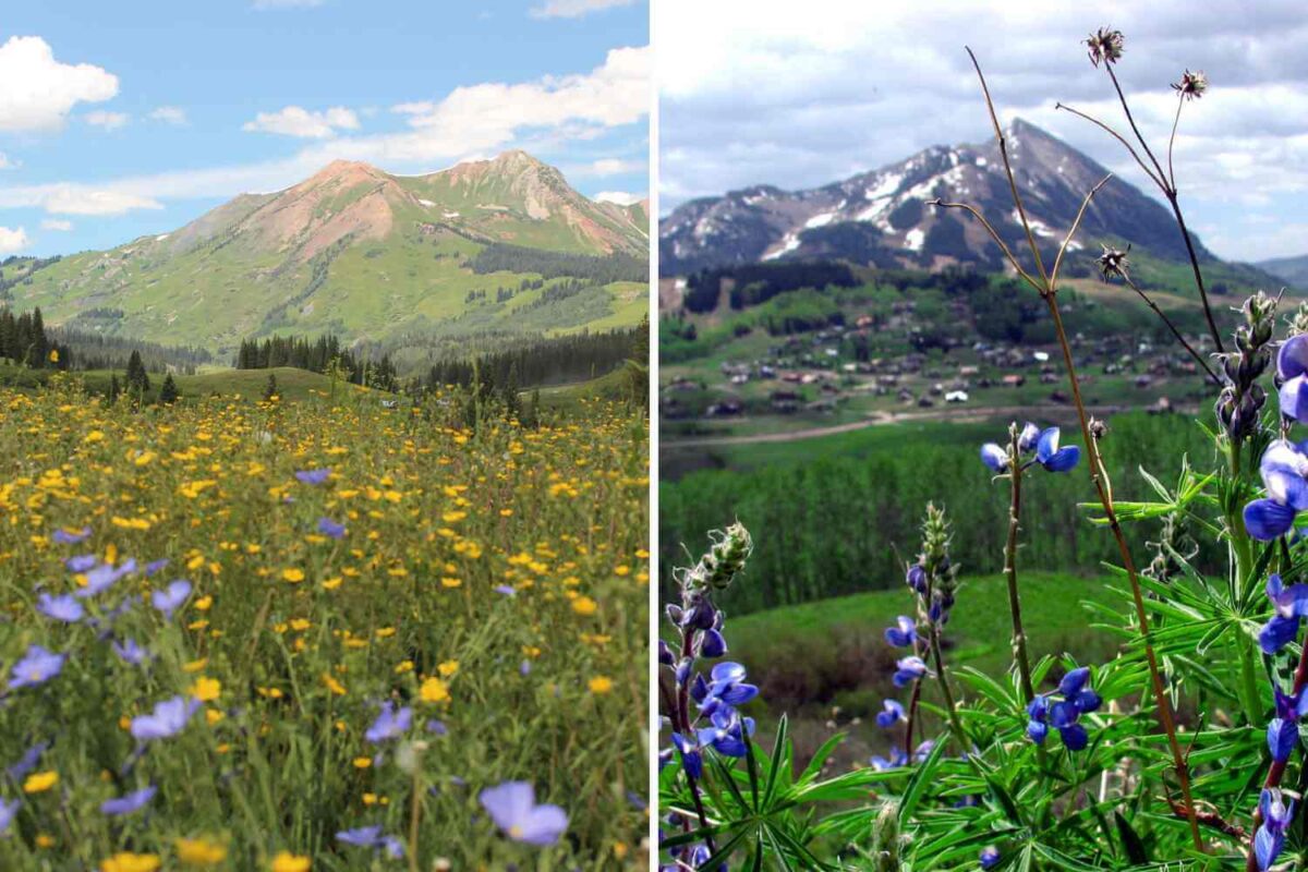 crested butte in summer