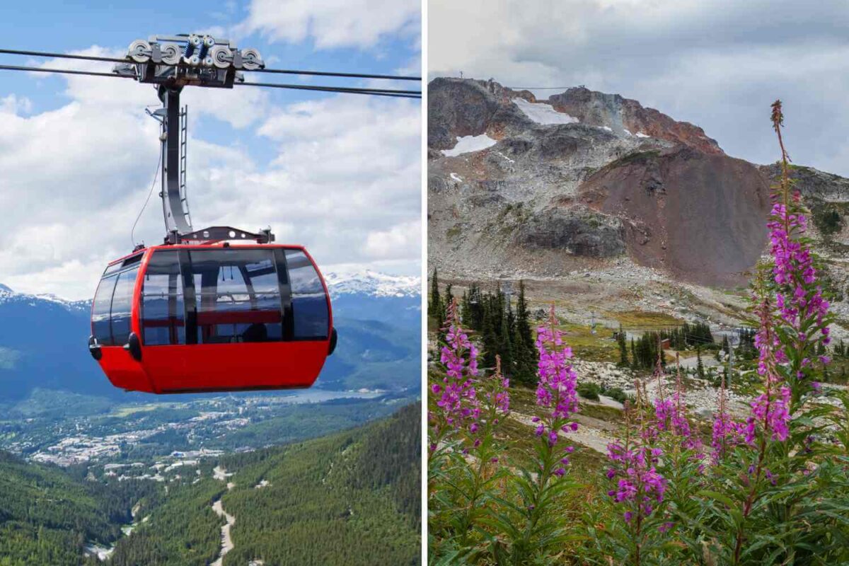 whistler in summer